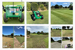 13th Beach Instagram - Red Roo