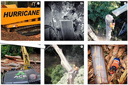 Ace Tree Management Instagram Account Ace Tree Management Instagram Account - Red Roo