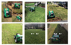 Coops Mowing - Red Roo