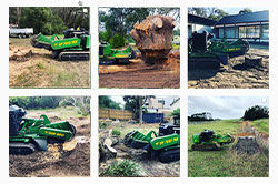 Just Stumps Instagram Just Stumps Instagram - Red Roo