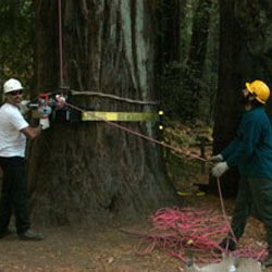 Good Rigging Control System