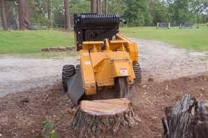 SP6016TRX Stump Grinder grinding a pine stump