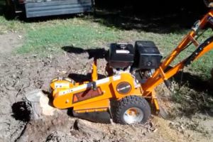 Buyer Beware Regarding Country Of Origin Of OTHER STUMP GRINDERS