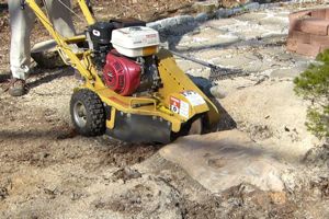 13HP Stump Grinder In Action With Engine HP(KW) Point Of Difference
