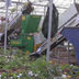 MS50 Shredding System In Action Shredding Acres of Rose Plants