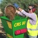 CMS80-The Mulching Queen using her CMS80 to mulch shred and chip a variety of materials